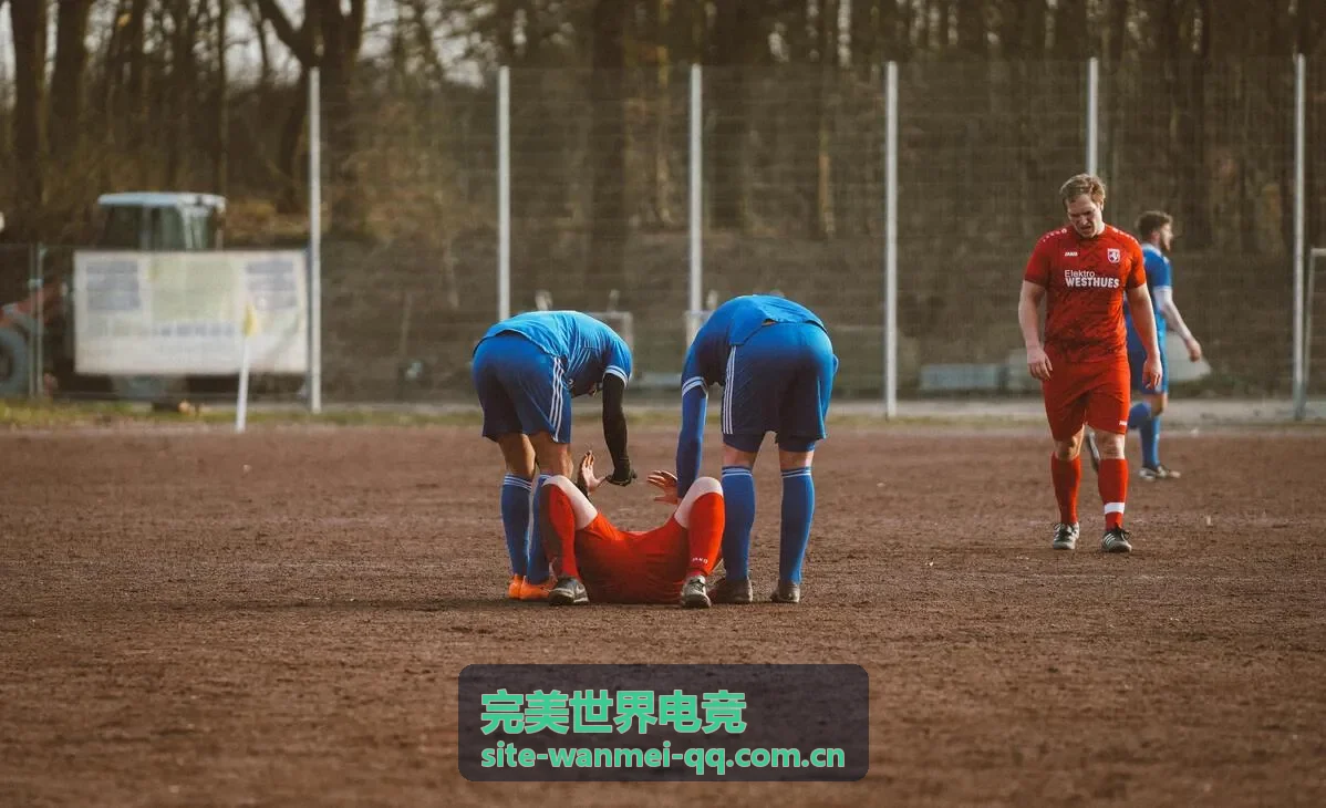 完美世界电竞观赛数据报告